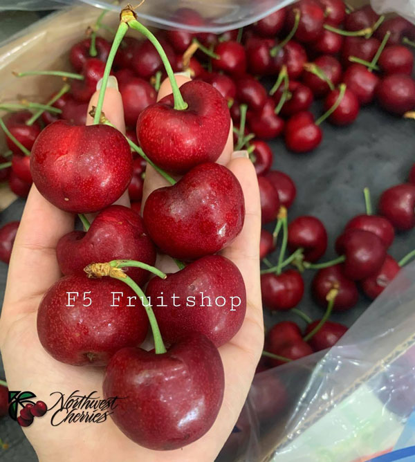 f5 fruit shop cherry 279K 19-7-2021